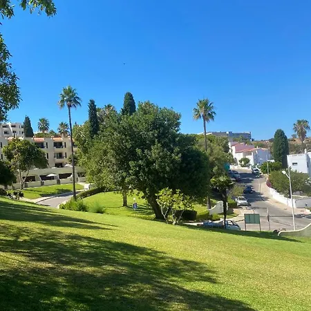 Garden 阿尔布费拉